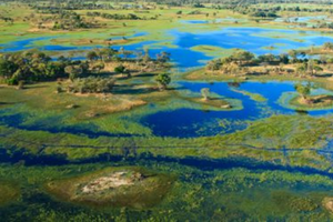 botswana-side-banner