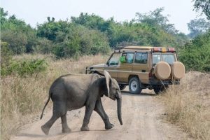 entebbe-best-time-visit