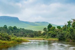 kinshasa-side-banner