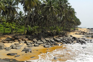 liberia-side-banner