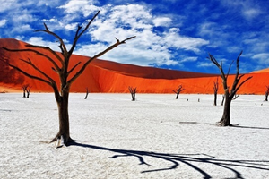 namibia-side-banner