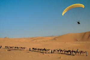 niger-side-banner